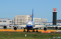 「青が好き」中国南方　A380-841 B-6137  Takeoff