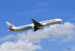 「青が好き」 JAL JET  KEI JA733J 出発