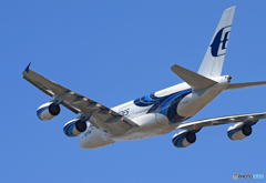 「青が好き」 malaysia A380-841 9M-NMF