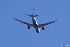 「あおぞら」デルタ　DELTA エアバス A350