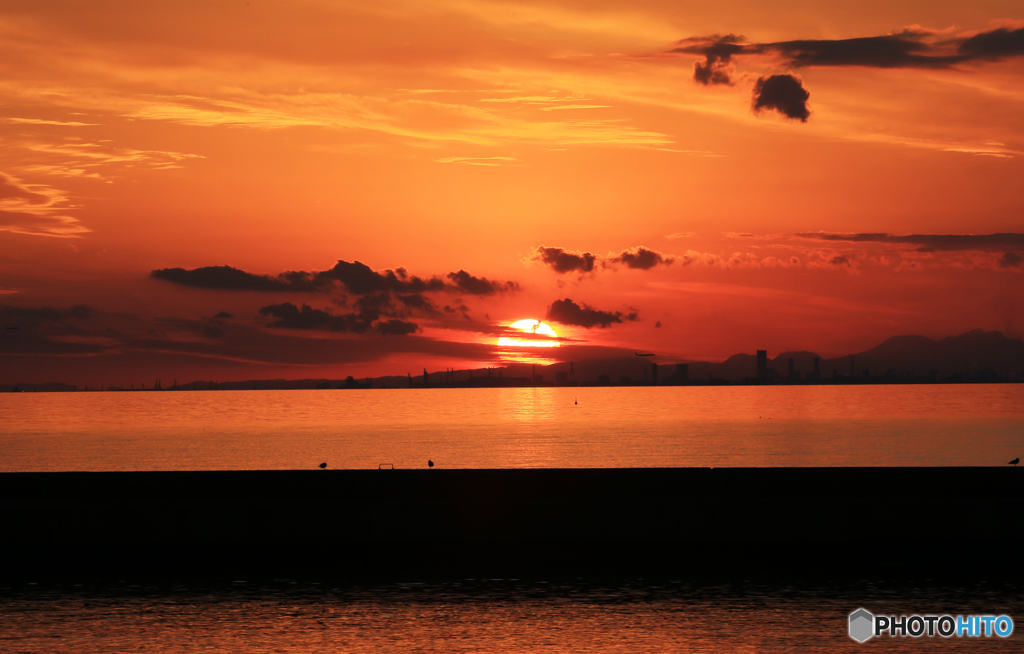 「スカイ」東京湾のサンセット