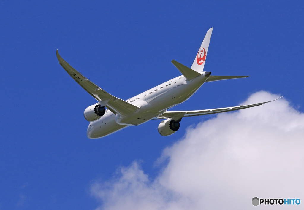 「良い空～」 JAL 787-9 JA872J 離陸