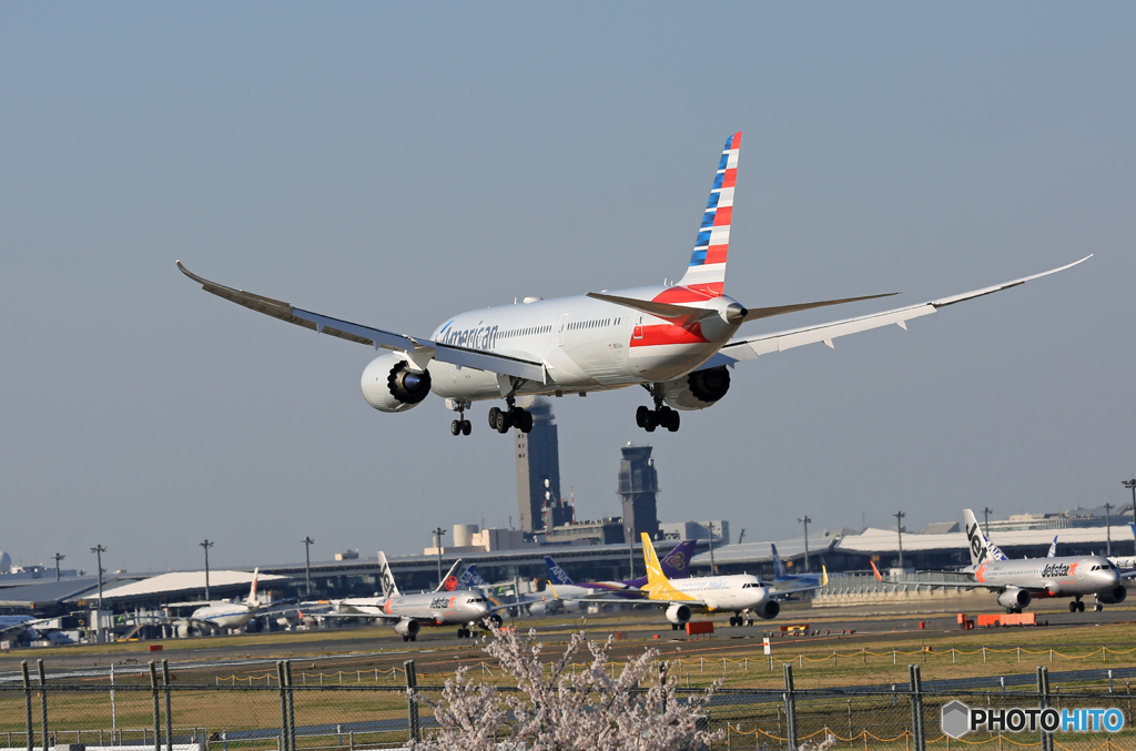 「そらー」 American 787-9 N818AL Landing