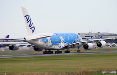 「良い空～」 2回目のセントレアに向う「Flying Honu」