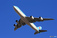 [青い空] Korean 747-8 HL7637 離陸