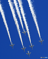 ☮休憩ﾀｲﾑ(616)  ブルーインパルス