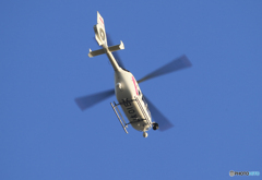 「青が大好き」TV朝日へり H135  取材中