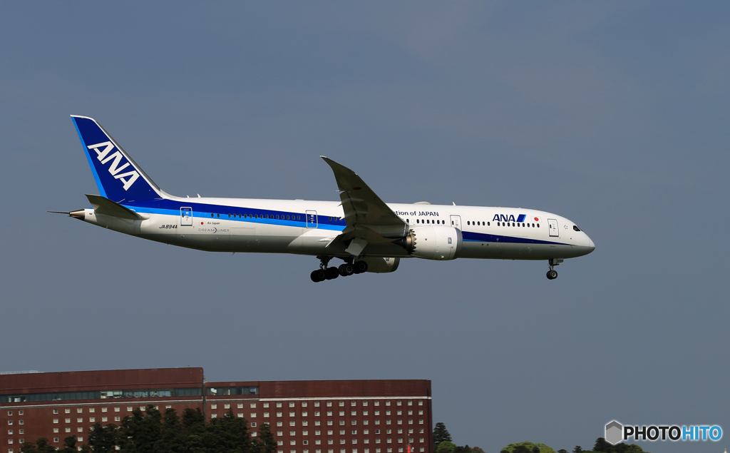 「真青の空」 ANA 787 到着です