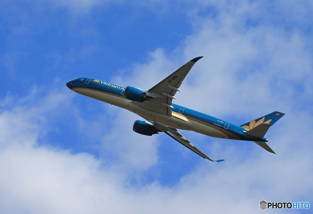 「青が好き」 Vietnam A350-941 VN-A888 Takeoff 