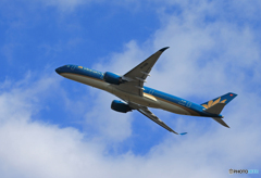 「青が好き」 Vietnam A350-941 VN-A888 Takeoff 