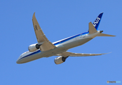 「あおいそら」 ANA 787-9 JA891A 出発 