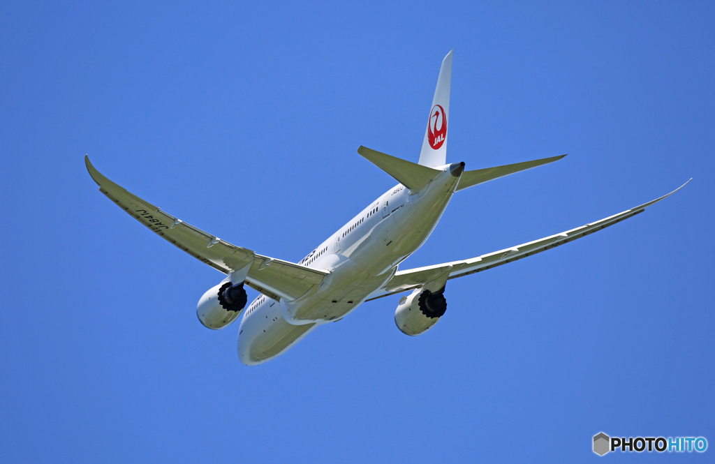 「青が大好き」 JAL 787-8 JA841J 離陸