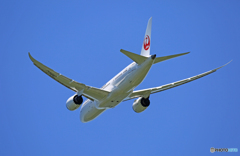 「青が大好き」 JAL 787-8 JA841J 離陸