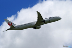 「そらー」JAL 787-9 JA876J  飛んだ