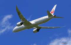  「晴れ」 JAL 787-9 JA869J Takeoff 