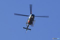 「クール」千葉県警ヘリコプター（かとり）飛来