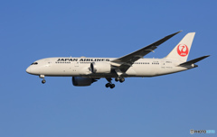 「青色」 JAL 787-8 JA821J 到着しました