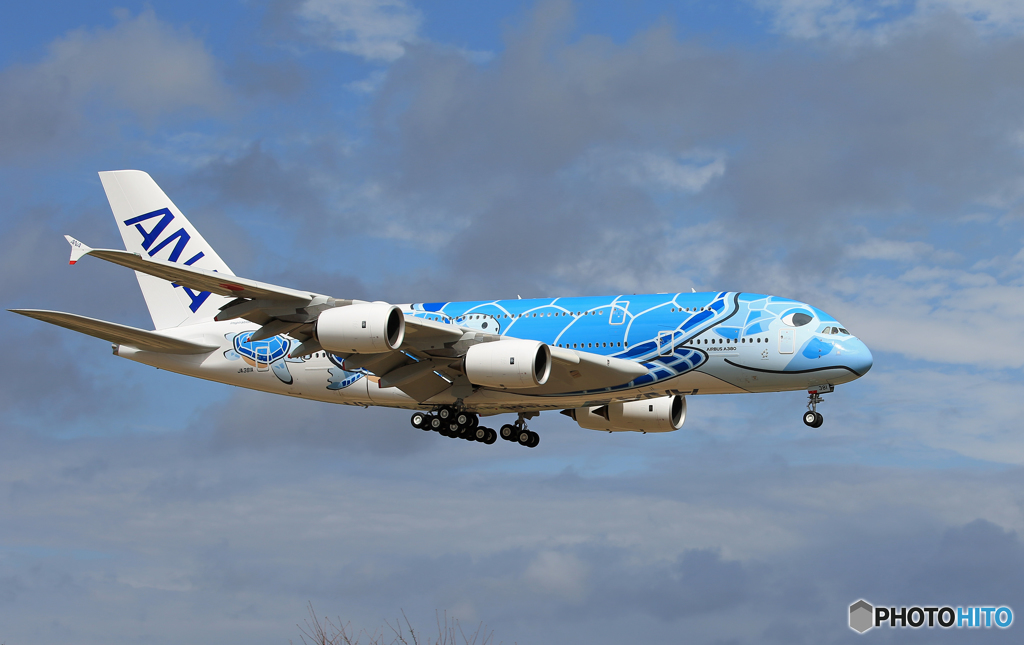 「ぶるー」ANA A380-841「 Flying Honu」 さくらの山　通過
