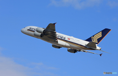 「あおぞら」Singapore A380-841 9V-SKS 離陸です