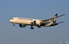 「群青」Air New Zealand B787-9 着地前
