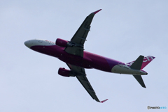 「青色が好き」 Peach A320-214 JA06VA Takeoff  