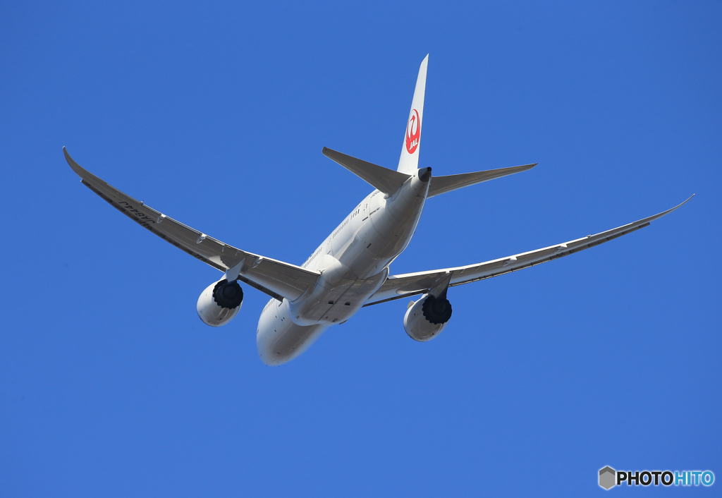 「群青」 JAL 787-8 JA844J Takeoff