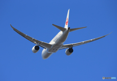 「群青」 JAL 787-8 JA844J Takeoff