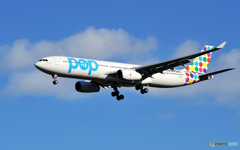 「青が大好き」POPな飛行機ですね