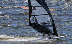 「青い海」☆　ブラッキー