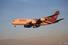 「あおぞら」 THAI A380-841 HS-TUD  Landing