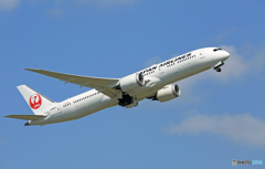 「すかい」 JAL 787-9 JA868J 出発