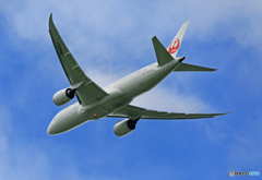 「良い天気」 JAL 787-8 JA843J 離陸ベイパー