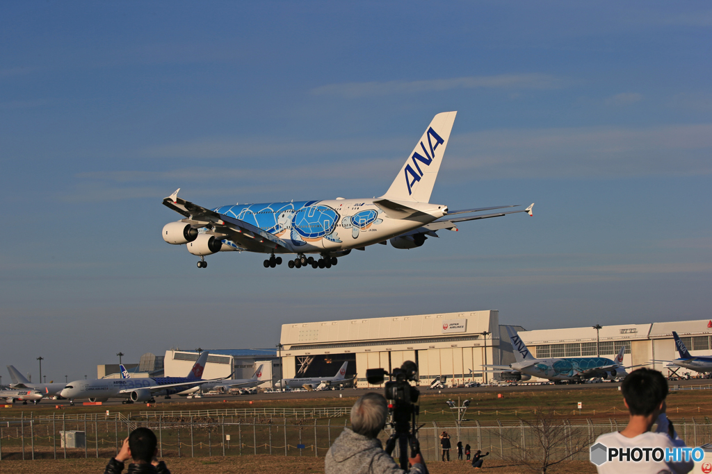 「良い天気」ANA A380-841 JA381A  Landing