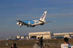 「良い天気」ANA A380-841 JA381A  Landing