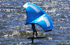 ☆「ブルー」Oh   上手く・乗ったねぇ〜