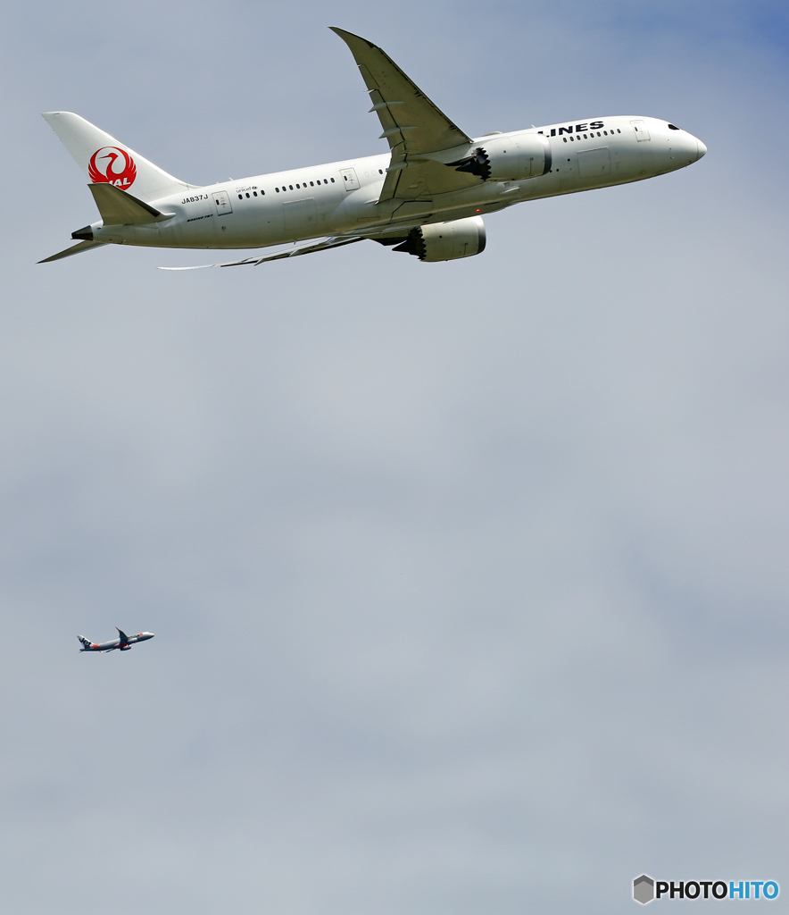 「そらー」 JAL 787-8  W離陸