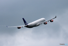 「青」? SAS A340-313 OY-KBC 離陸です