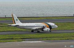 ☮ブラジル空軍機 ☮A319-133 VC-I 2101