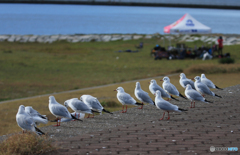 「良い天気」春・早く来ないかなぁ
