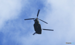 「青色」○ チヌーク・CH-47JA ○