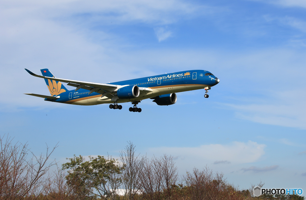 「青色」 Vietnam A350-941 VN-A893 到着です