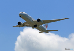 「青が大好き」 JAL 787-8 JA841J 離陸