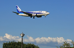 「すかい」 ANA 737-500 ドルフィン 到着です☮