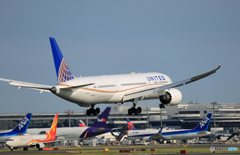 「はれ」 UNITED 787-9 N26952着陸