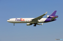 「スカイ」 FedEx MD-11 N576FE 着陸します