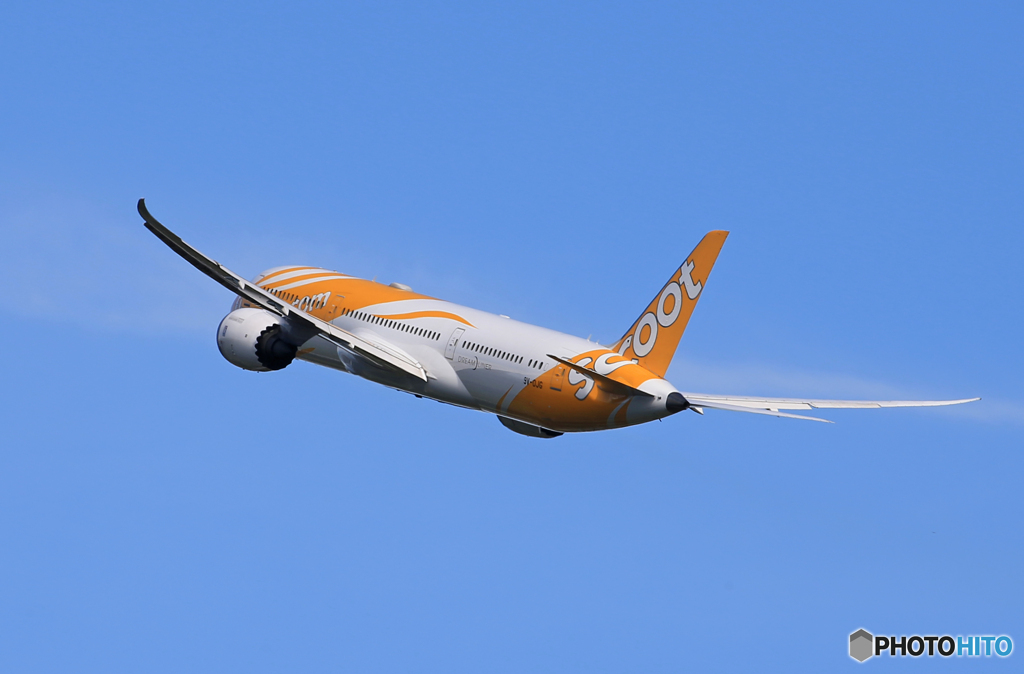 「空色」SCOOT 787-9 9V-OJG 飛び立ち