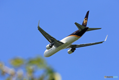 「ぶるー」 UPS 767-34AF N340UP 出発