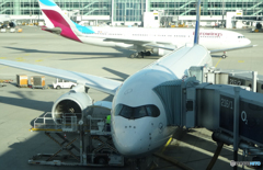 「蒼空」ミュンヘン国際空港->　羽田空港行・出発前に撮る