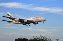 「青が好き」エミレーツ航空 A380-861 A6-EUJ着陸