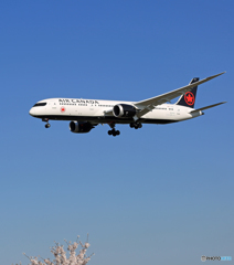 「SKY」 AIR CANADA 787-9 C-FRSR 到着